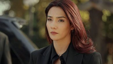 بیوگرافی آیبوکه پوسات